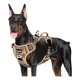 thumbnail image 1 of Pechera Arnes Perro Extragrande Cómoda Ajustable Husky Golde, 1 of 7