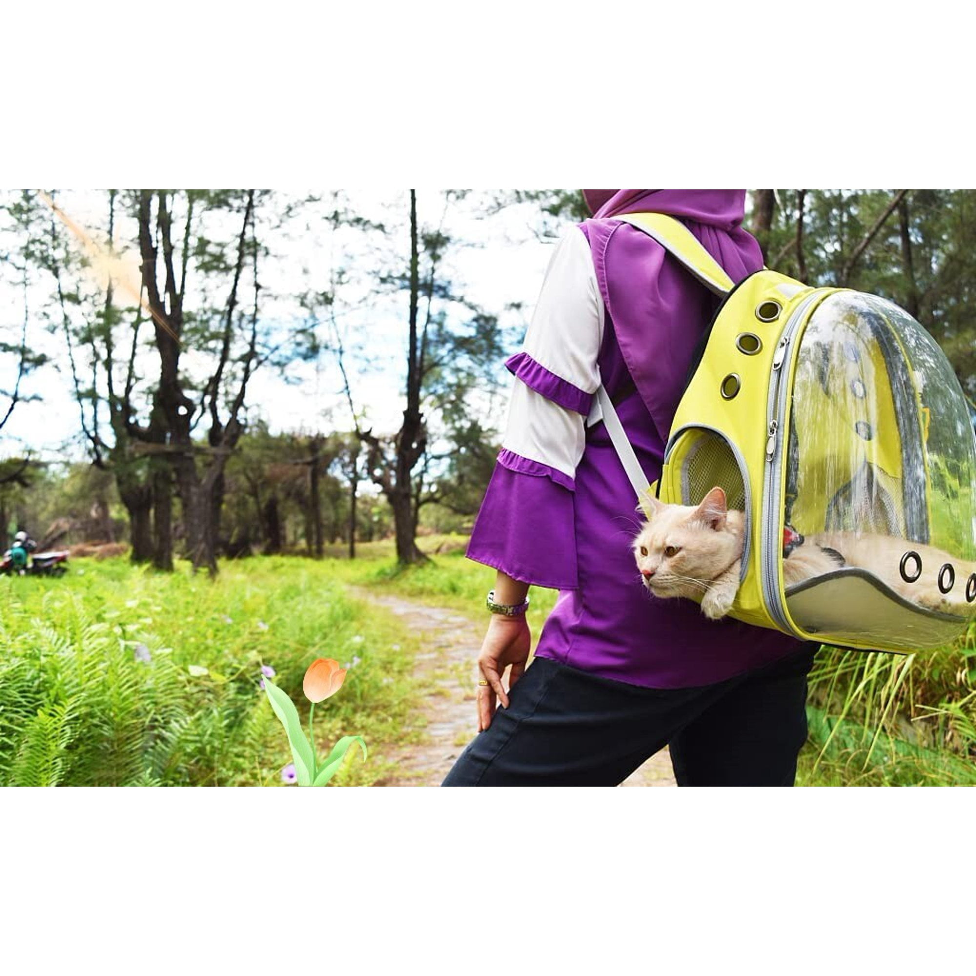 Cat Carrier Backpack, Breathable Pet Backpack Carrier for Pets and Small Dogs,Airline-Approved, Clear Cat Backpack for Travel, Hiking, Walking & Outdoor Use (Yellow)