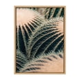 thumbnail image 2 of Kate and Laurel Sylvie Barrel Cactus Framed Canvas Wall Art by Alicia Bock, 18x24 Natural, Desert Cactus Photography Art for Wall, 2 of 6