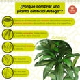 thumbnail image 3 of Planta artificial decorativa Artego Dracaena Palo de Brasil grande 170cm para hogar sala comercio oficina, 3 of 8