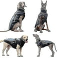 thumbnail image 3 of 2023 Ropa para perros grandes Chaleco impermeable para perros grandes Chaqueta de otoño e invierno Abrigo cálido para perros, 3 of 3