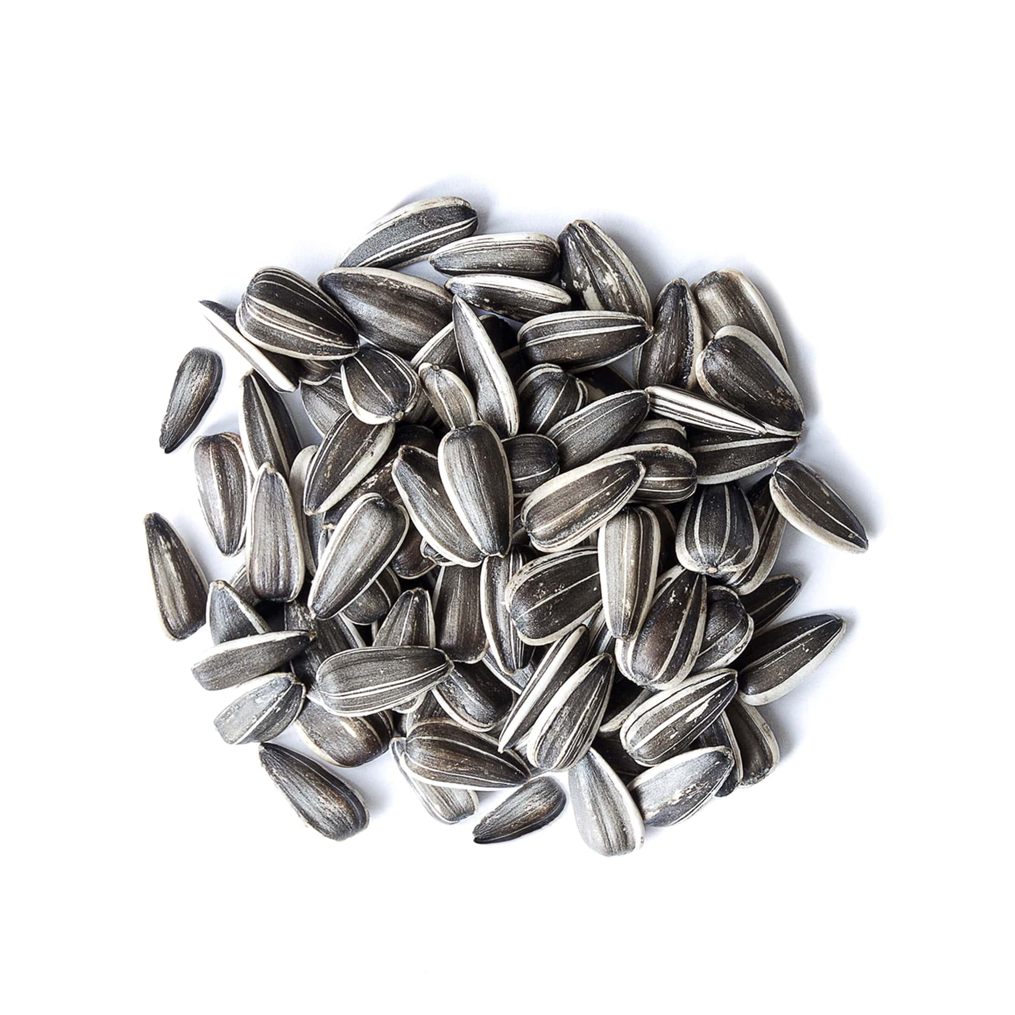 Sunflower Seeds, 2.5 Pounds – In shell, Raw, Vegan, Bulk