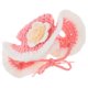 thumbnail image 1 of unbranded Sombrero Para Tejido En Multicolor Con Único Para Eventos Y Diaria, 1 of 6