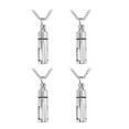 thumbnail image 1 of Collar Hugo Acero Inoxidable 4 Sistemas Joyería Conmemorativa Plata, 1 of 10