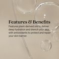 thumbnail image 4 of Aceite facial y corporal Loved01 John Legend Skincare 100 ml x2, 4 of 6