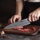 thumbnail image 5 of XINZUO Cuchillo Xinzuo Acero Damasco Japones 67 Capas 8 Pulgadas Del Chef Profesional Mango de Pakka, B1H-CS, 5 of 9