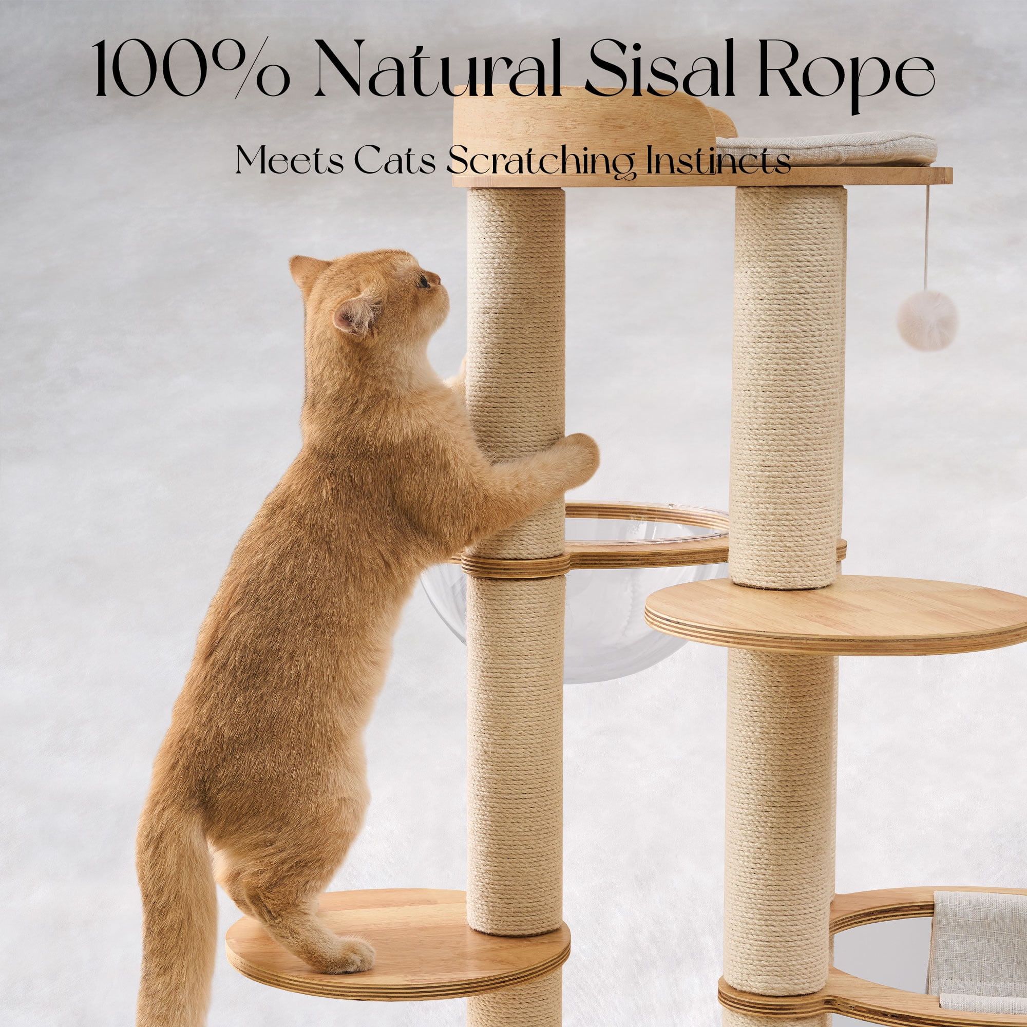 Modern Solid Wood Cat Tree Tower, 54" Tall Cat Tree with Sisal Scratching Posts, Capsule&Hammock, Luxury Natural Oak Wooden Cat Tower, Aesthetic Multi-Level Cat Climbing Tree for Large Indoor Cats