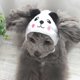 thumbnail image 5 of Gorro divertido y bonito para mascotas, gorro para perro y gato, accesorios Coume Ay, gorro con orejas de conejo, cálido para invierno, 5 of 5