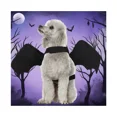 thumbnail image 3 of -m-Alas de murciélago para mascotas, disfraz de Halloween, negro, genial, para perro, gato, murciélago negro, para cambiarse, 3 of 5