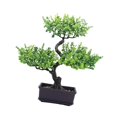 thumbnail image 1 of Bonsái artificial, planta falsa en maceta, multiusos, decorativa, artificial Verde, 1 of 9