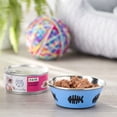 thumbnail image 4 of (12 pack) Special Kitty Salmon Dinner Pate Wet Cat Food, 5.5 oz Can, 4 of 11