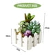 thumbnail image 2 of Combinación de suculentas en maceta, adornos pequeños de moda creativos, plantas verdes artificiales, 2 uds., 2 of 5