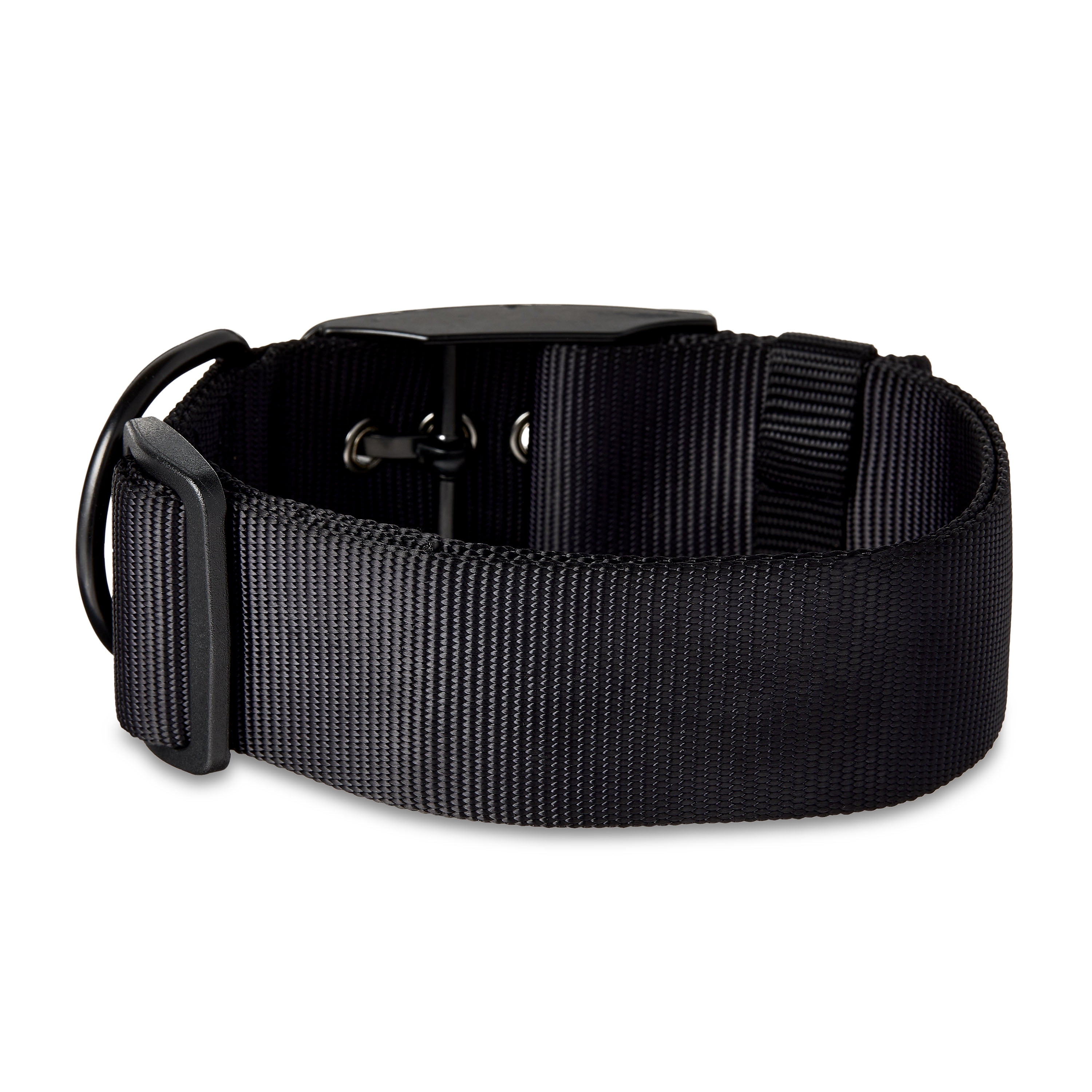 (2 pack) Vibrant Life Solid Polyester Adjustable Dog Collar, Black, Medium