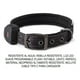 thumbnail image 2 of Collar Para Perro Con Luz Led Recargable, Color Negro, 2 of 8