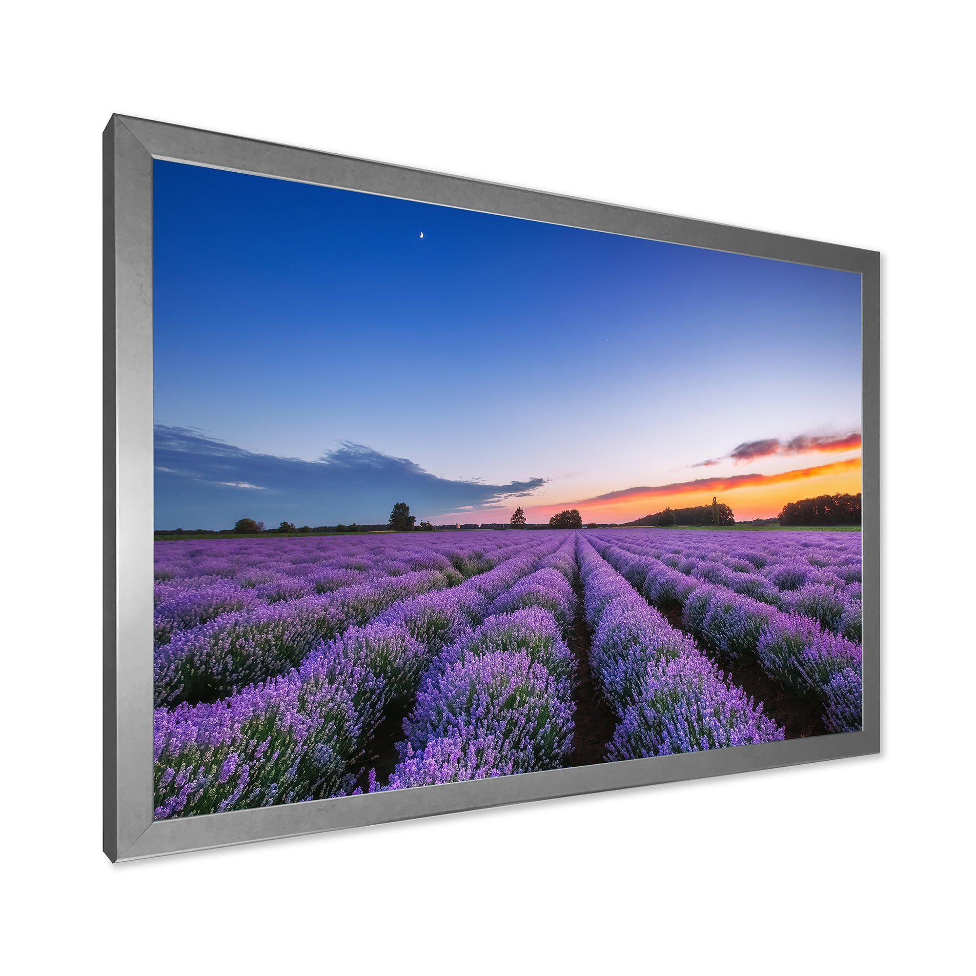 Designart 'Dramatic Clouds and Sunrise Over Lavender Field I' Farmhouse Framed Art Print