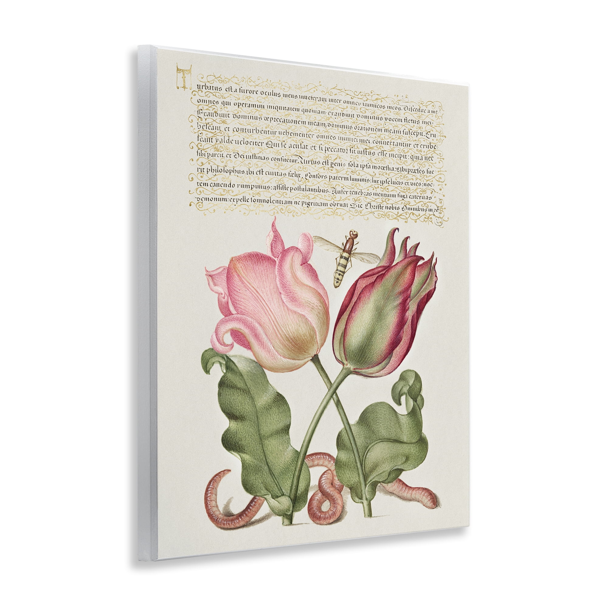 Stupell Industries Tulips & Insects Antique Text & Numbers Painting Unframed Art Print Wall Art, 11 x 14