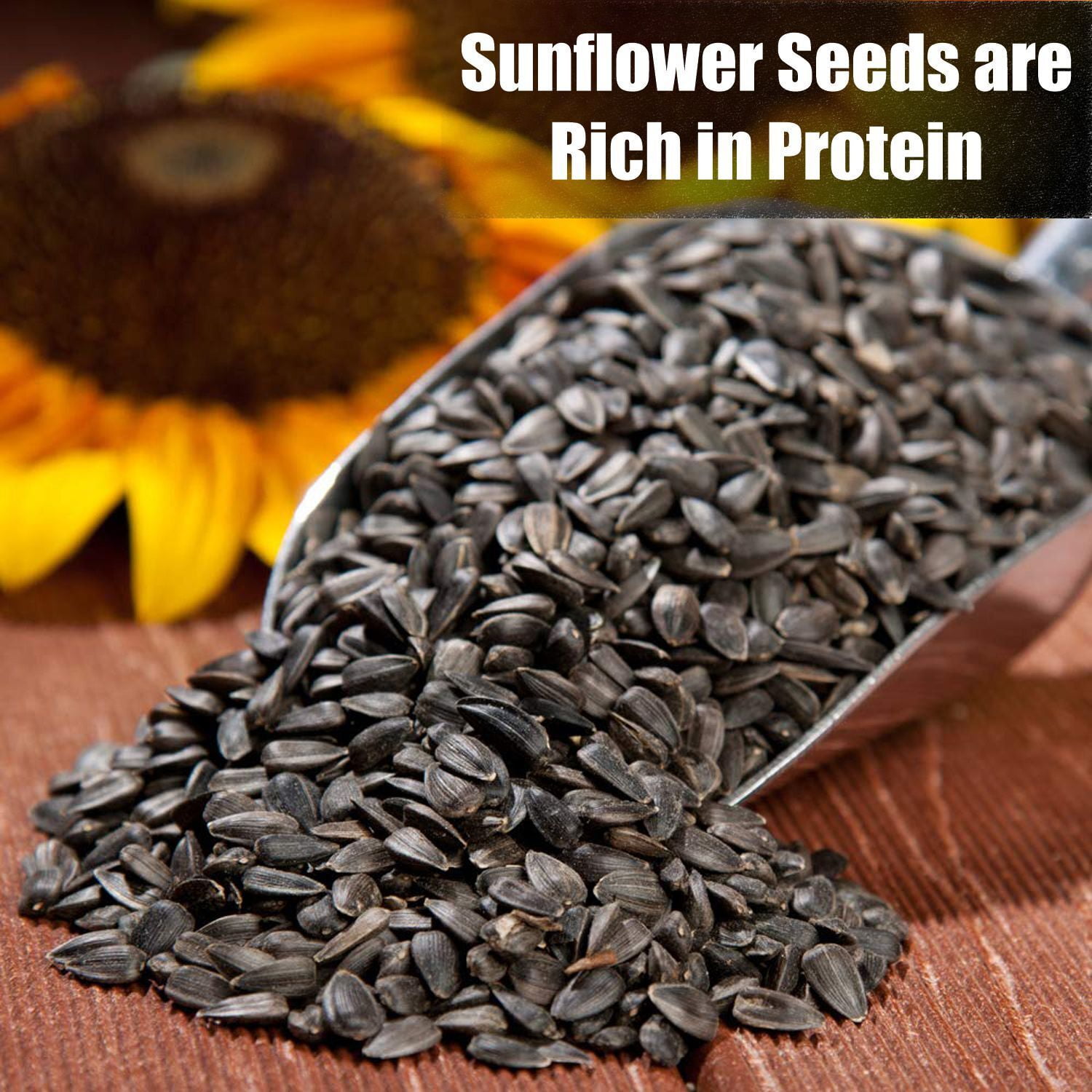 Old Potters Wildlife Black Oil Sunflower Seeds, 25 Pounds, for Birds and Wildlife, Non-GMO & USA Grown on Small Farms, 25 lbs
