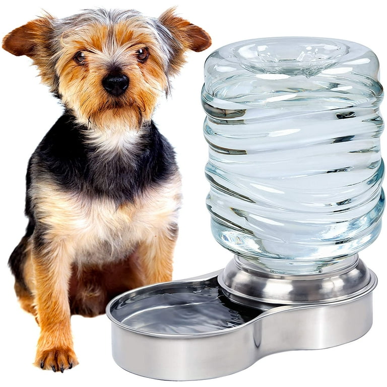 Automatic dog drinkers top