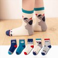 thumbnail image 2 of NOLDARES Toddler Mid Calf Cotton Socks, Reinforced Heel Toe Durable for Boys Girls Daily Rough Play, School & Sports 5-Pairs, 2 of 4