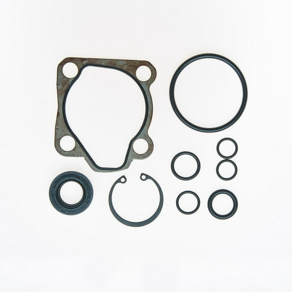 Edelmann P/S Pump Seal Kit - 8895