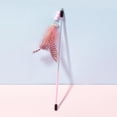 thumbnail image 1 of Runquan Cat Feather Toy Funny Exercise Toy Cat Teaser Stick for Kitten Cats Exercise Pink, 1 of 8