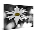 thumbnail image 3 of Marmont Hill "Sun Speckled Daisy" Painting Print on Canvas, 3 of 7