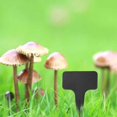 thumbnail image 4 of Lefu 100pcs Garden Labels Gardening Plant Classification Sorting Sign Tag, 4 of 9