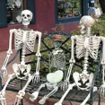 thumbnail image 3 of Halloween Human Skeleton Extra Large Movable Natural Decorative Party Prop, 3 of 5