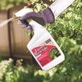 thumbnail image 2 of Bonide Japanese Beetle Killer Liquid 32 oz, 2 of 7