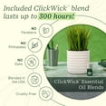 thumbnail image 5 of Lifelines Plant Diffuser with ClickWick Essential Oil Blend, Rechargeable & Waterless Aromatherapy Diffuser for Home and Office, Modern Grass Planter, 5 of 6