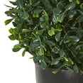 thumbnail image 3 of Nearly Natural 13" Boxwood Artificial Topiary UV Resistant (Indoor/Outdoor), 3 of 5
