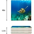 thumbnail image 3 of FMSHPON Ocean Sea Turtle Set of 6 Coaster for Drinks, Absorbent Ceramic Stone Coasters Cup Mat with Cork Base for Home Kitchen Room Coffee Table Bar Decor, 3 of 4
