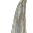 thumbnail image 4 of Set of Two Gray and Beige Terracotta Fairy Standing Gnome Tabletop Sculpture, 4 of 4