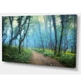 thumbnail image 2 of Crimea Forest in Summer, 2 of 3