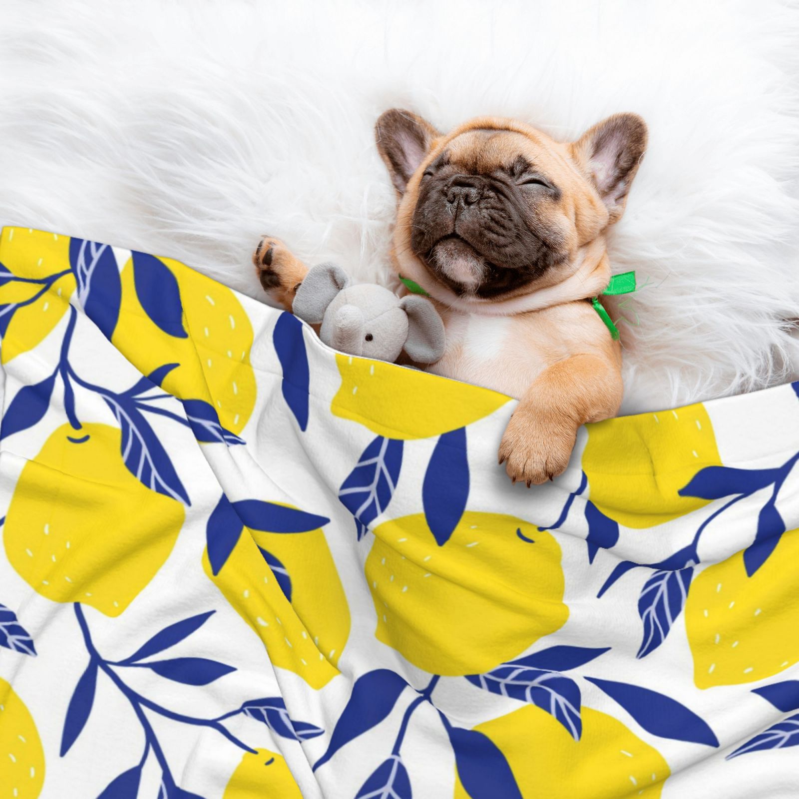 Naloa Tropical Lemon Dog Blanket, 3 Sizes Cat Blanket for Indoor Cats Large Medium Small Dog Gifts-