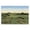 Golf Course Landscape Painting, variant on Stupell Industries Traditional Coastal Golf Course Black Floating Frame Canvas Art, 25 x 17, by Michael Willett