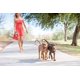 thumbnail image 5 of Wigzi Correa Retráctil Para Perros Que No Se Enreda Para Dos Perros Con Mango De Gel Innovador - Pasee A 2 Perros De Hasta 50 Libras Cada Uno - Correas De 10 Pies Gris Pequeño/Mediano, 5 of 5