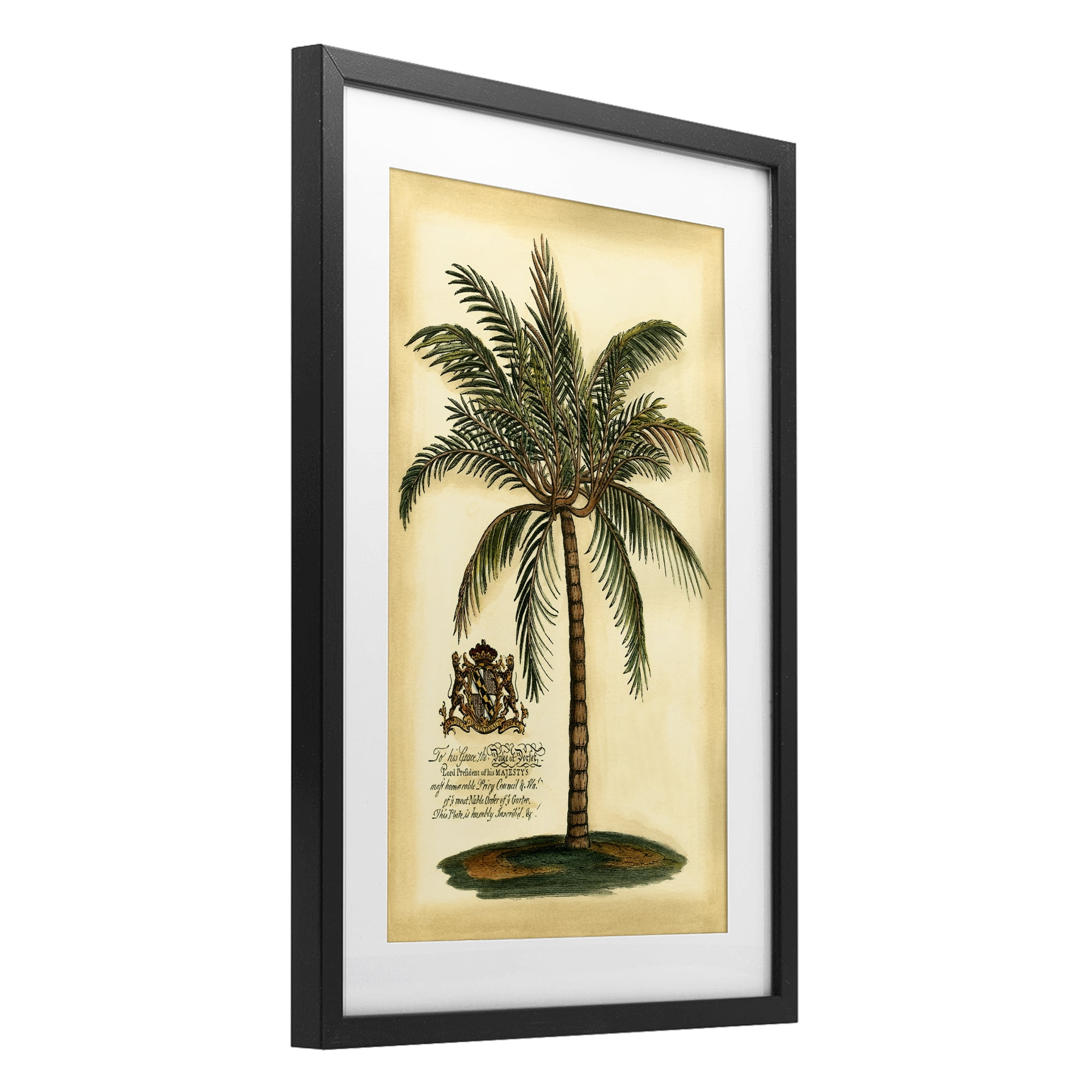 Stupell Industries British Colonial Palm Black Framed Print Under Glass, design by Vision Studio