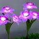thumbnail image 4 of Luces LED solares para jardín, con forma de flor, de 3 cabezas, decorativas, para exteriores, con forma de narciso, para jardín y patio., 4 of 7