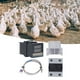 thumbnail image 4 of Controlador De Temperatura PID, Disipador De Calor 100-240V Termostato PID Digital Rápido Autoajustable Para Cría Agrícola, 4 of 7