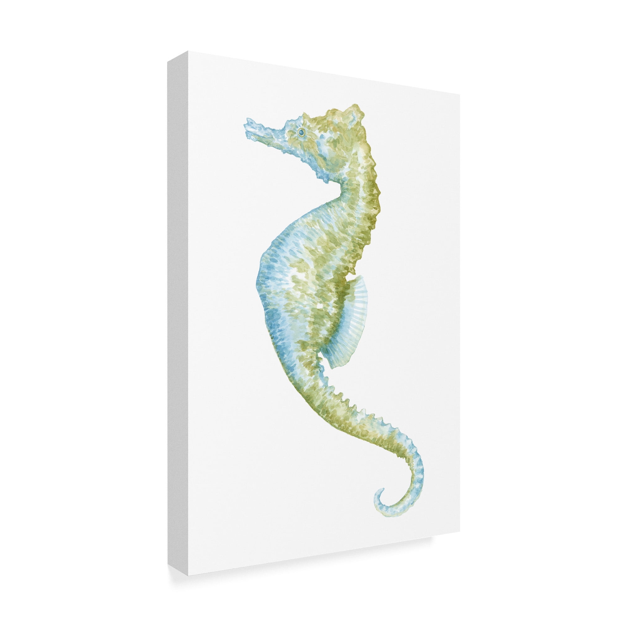 Trademark Fine Art 'Watercolor Seahorse II' Canvas Art by Megan Meagher