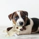 thumbnail image 4 of Juguetes masticables duraderos para perros que muerden con fuerza. Juguete interactivo para la dentición de cachorros, para jugar y entrenar a cachorros en interiores y exteriores., 4 of 6