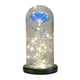 thumbnail image 1 of Galaxia rosas flores siempre encantados rosa con colorida Luz LED en cúpula de cristal para regalos románticos en el aniversario del Día de las madres Estilo7 Sunnimix cúpula del globo de la rosa de la galaxia, 1 of 7