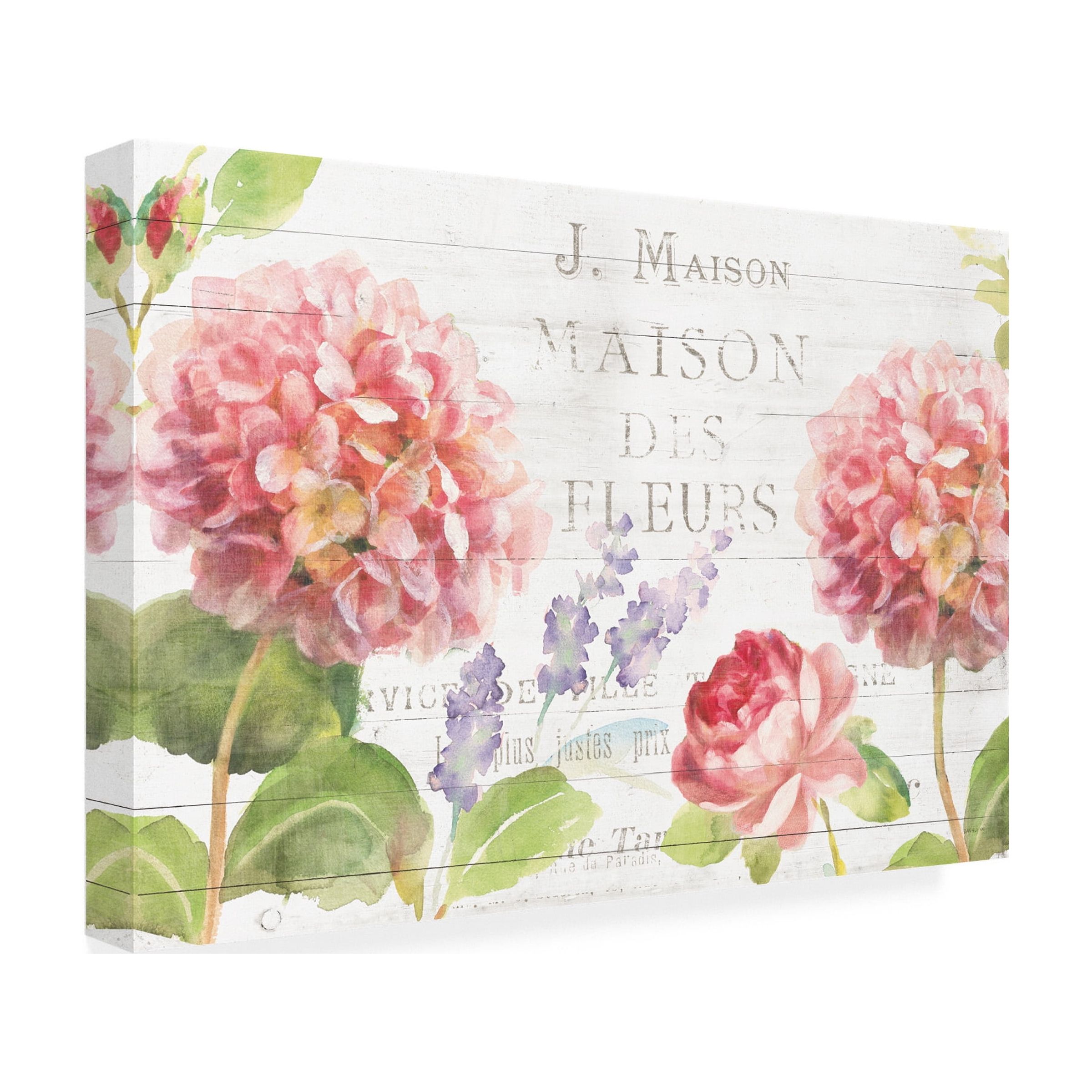 Trademark Fine Art 'Maison Des Fleurs II' Canvas Art by Danhui Nai