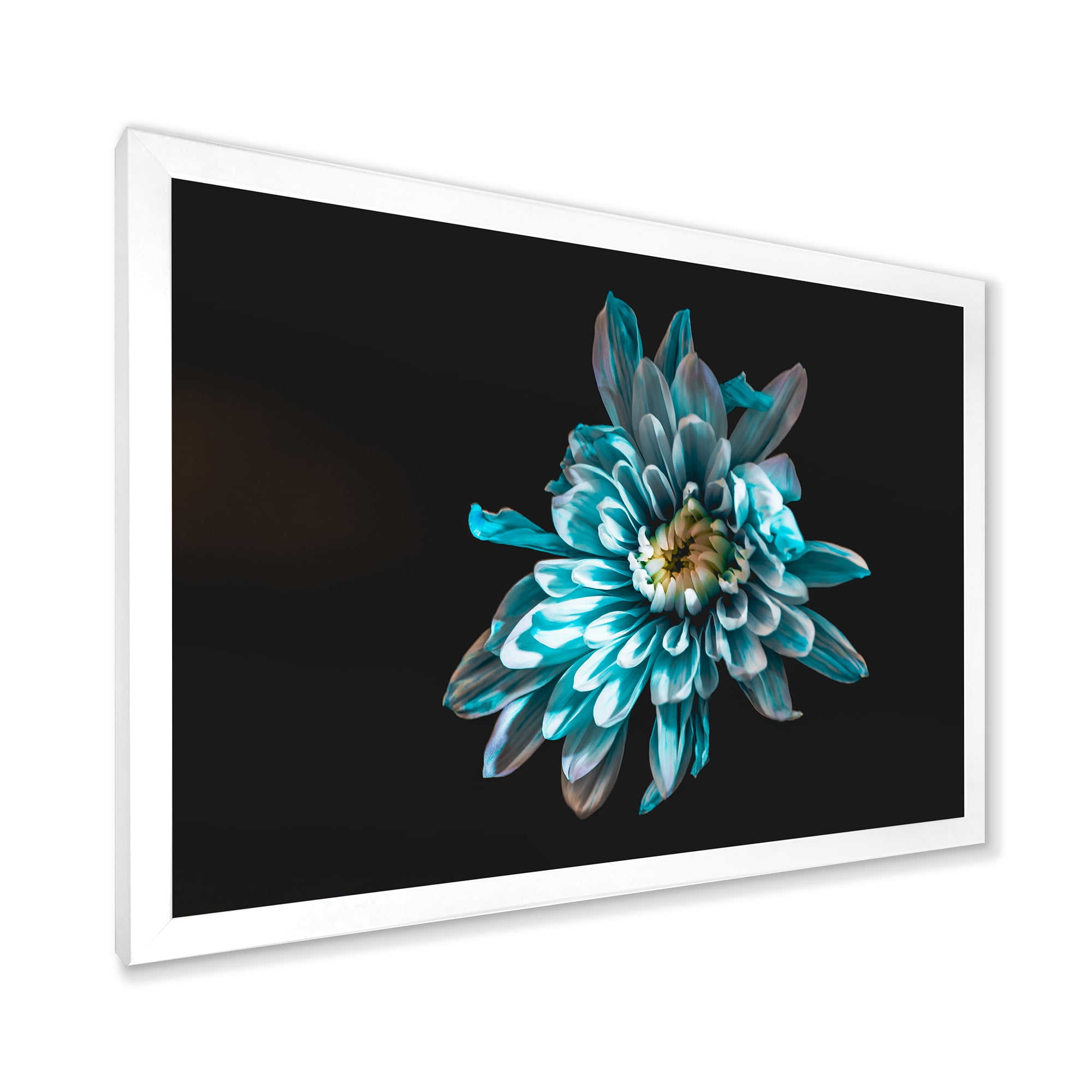 Designart 'Top View of White and Blue Flower' Traditional Framed Art Print