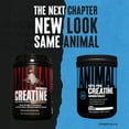 thumbnail image 2 of Animal Micronized Creatine - Muscle Building Creatine Monohydrate Powder 1kg, 2 of 6