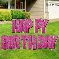 VictoryStore 24 Inch Happy Birthday Yard Letters, Luckiest Guy Font, Pink Disco Print