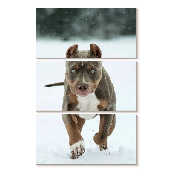 Elephant Stock Pit Bull On Snow Wall Art - Vertical Multi Panel Canvas - Living Room Wall Decor - Animal Multi Panel - Gray And Brown Decor - 14" x 23"