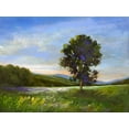 thumbnail image 2 of Finch, Sheila 32x25 White Modern Wood Framed Museum Art Print Titled - Sentinel, 2 of 4