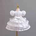 thumbnail image 3 of BintaRealwax Baby Girls Princess Ball Gown Dress Toddler Formal Dress for Birthday Party 0-3 Years, 3 of 3